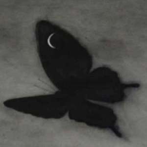 男生日女生骚B视频
