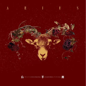 男生日女生骚B视频
